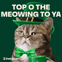 Patrick The Cat GIFs - Find & Share on GIPHY