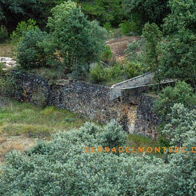 ELS ESPECTACULARS RENTADORS DE LIGNIT DE BARMÓ