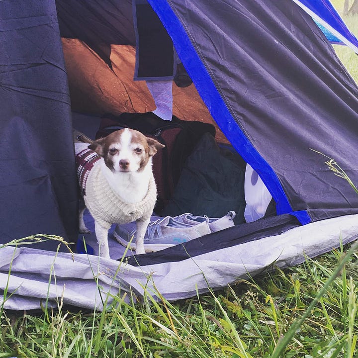 In the left image, Nicole helps her small son as he sits in a camp chair. There is a pot of stew on a fire, along with a dutch oven cooking biscuits. In the right image, a very sweet brown and white pup named Tootsie peeks out of a tent.