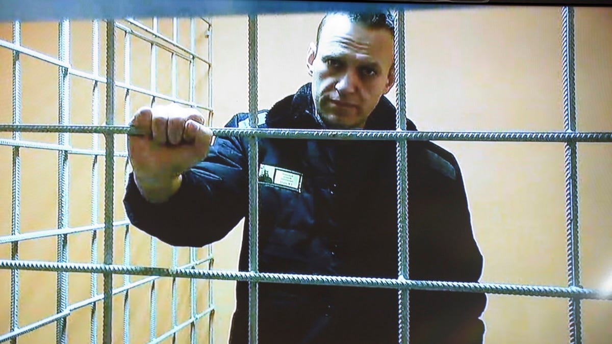 Kremlin Critic Navalny Sent Back To Solitary Confinement For Saying He ...