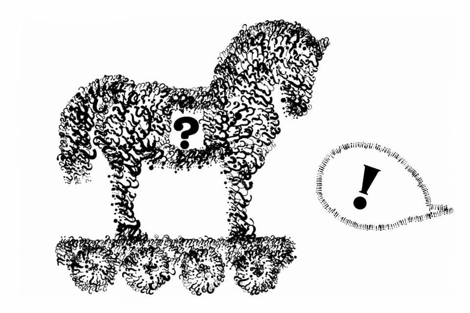 Schrodingers Horse