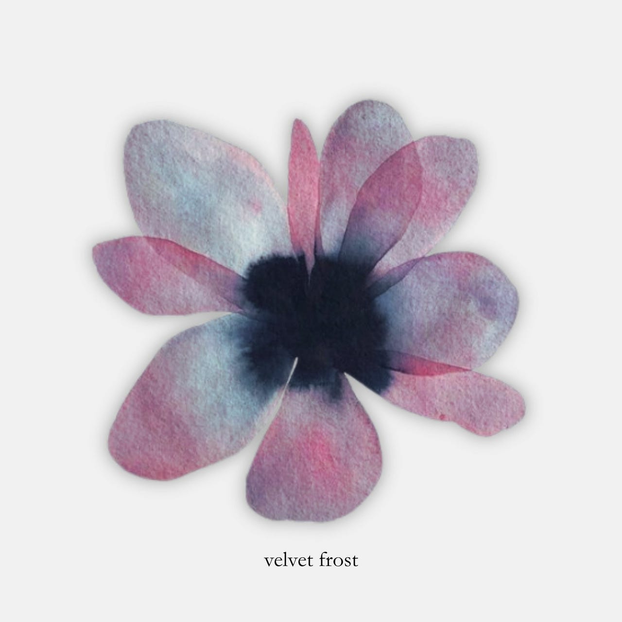 velvet frost