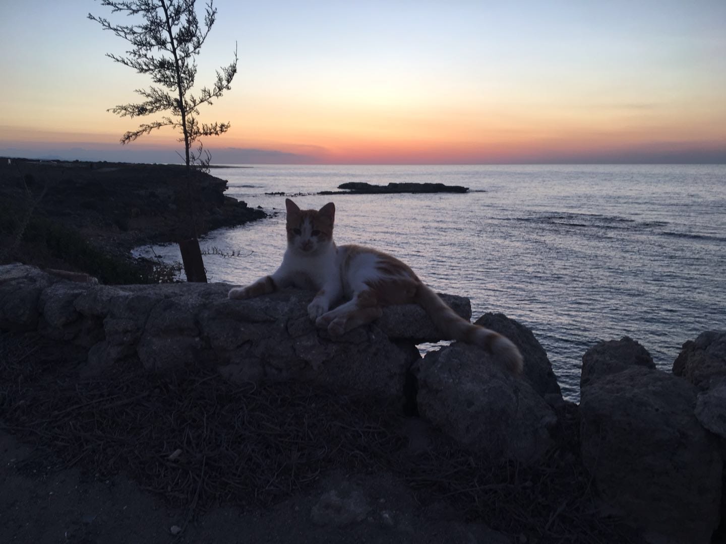 WeChat Image_20171022234318