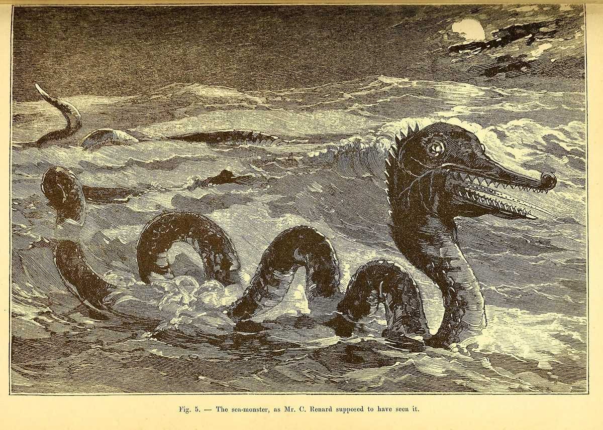 Sea Serpents of the Gulf - Country Roads Magazine