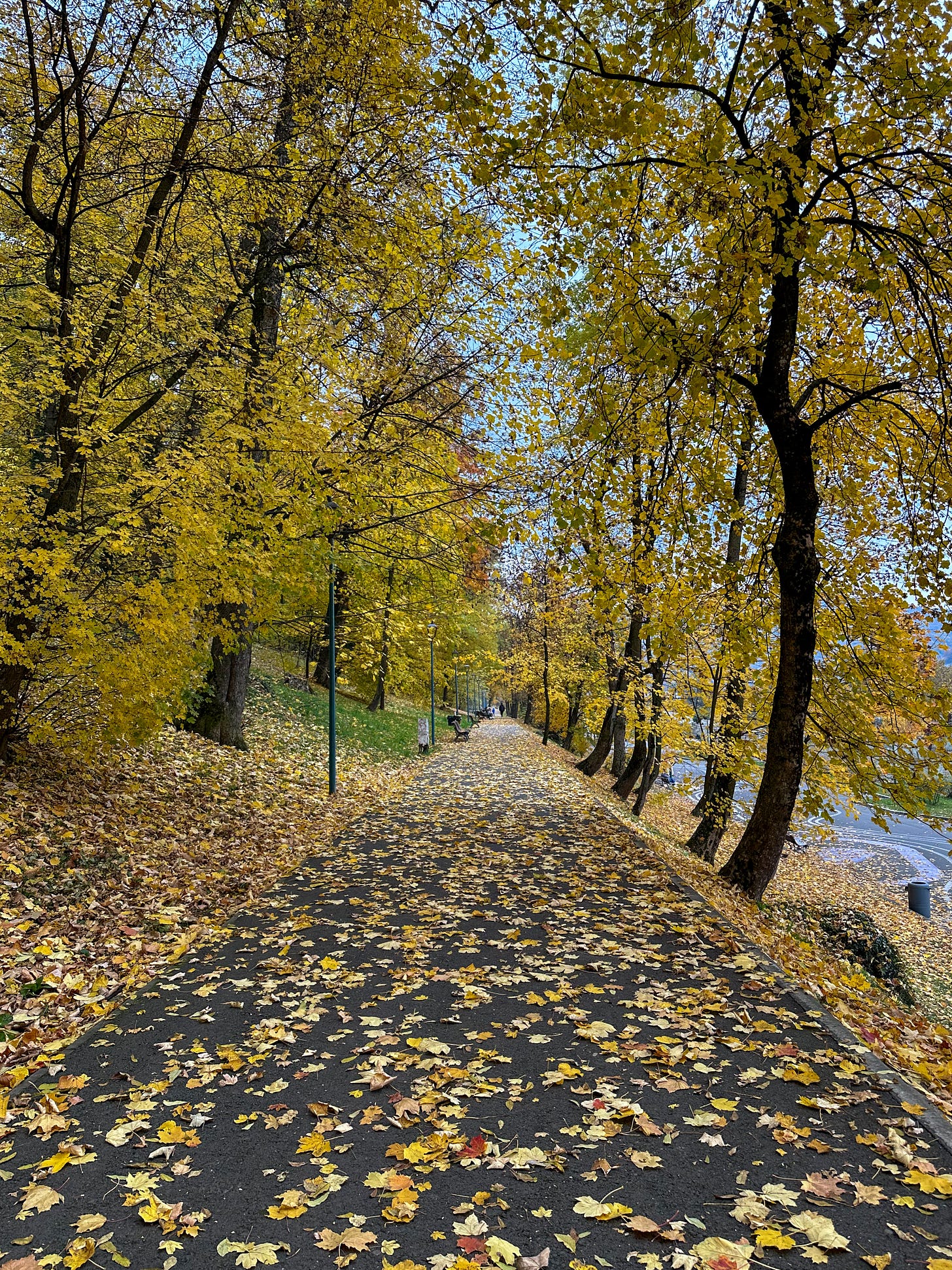 On the Under Tampa Promenade in Brasov
