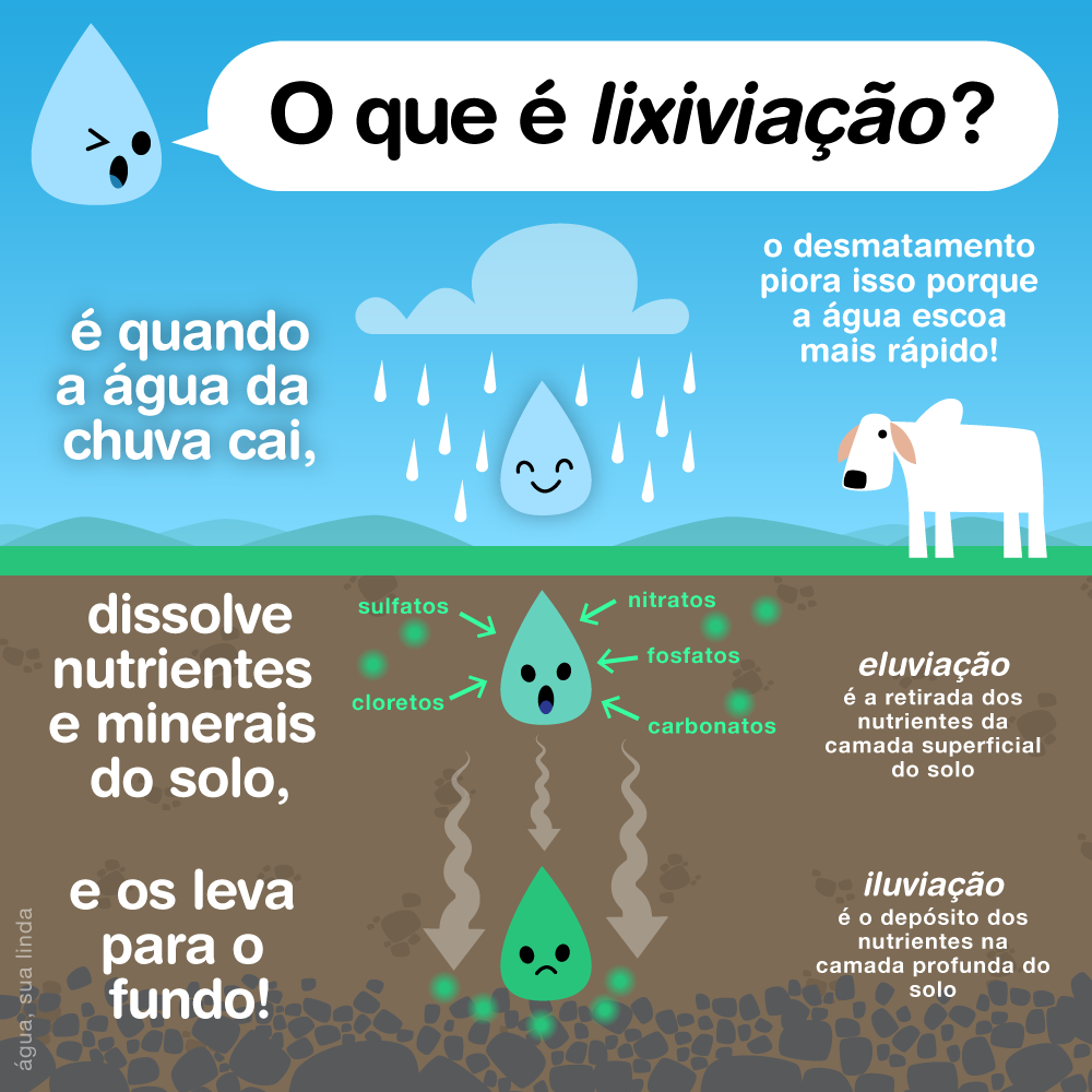 O que é lixiviação? - Árvore, Ser Tecnológico