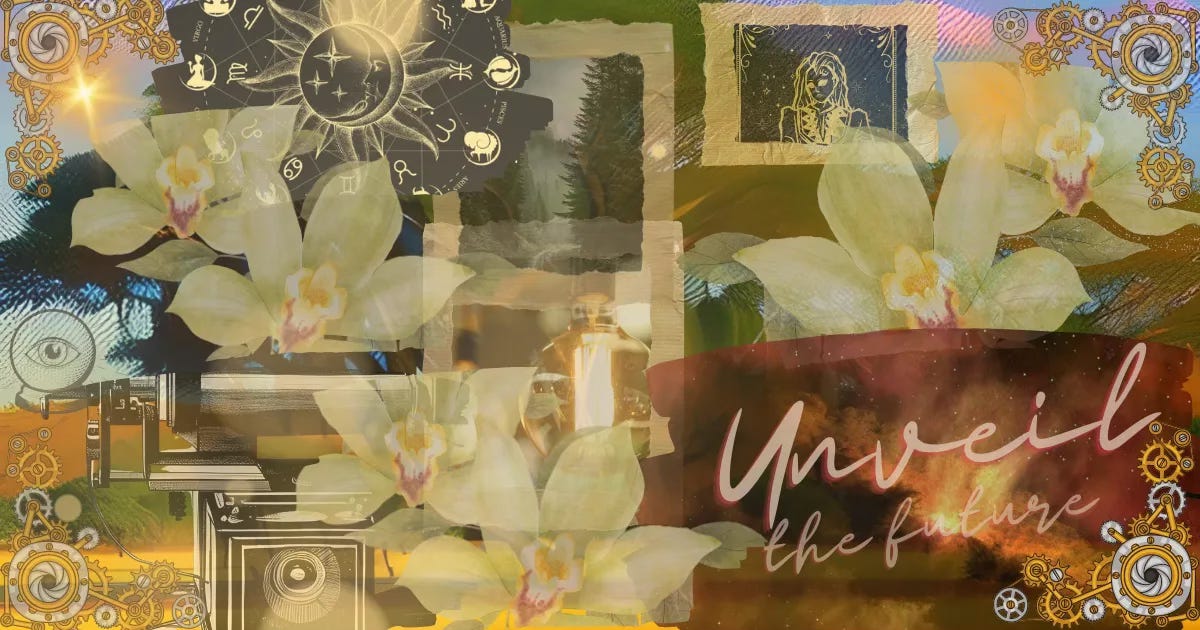 A Creative Audit to Quiet the Chaos