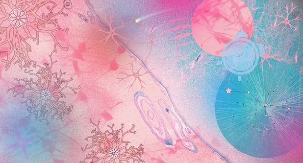 Soft pink-and-teal collage of branching nerve cells, body tissue, and a web of far-reaching connections — the nervous system woven through the whole body.