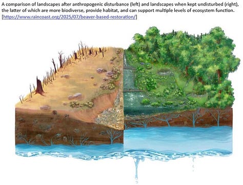 Using Beaver Capacity Models - EarthStuff