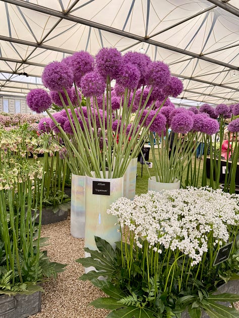 RHS Chelsea Flower Show Guide - The A-List by Aziza Lyons