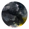 Moonshadow