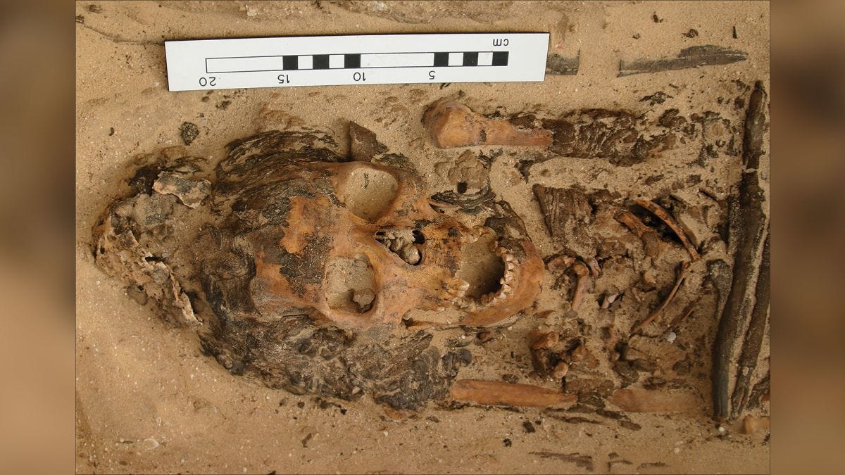 Egyptian head cones: Graves reveal items seen in ancient art really existed  | CNN