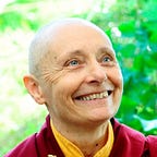The Dalai Lama's Cat: Buddhist compassion in action