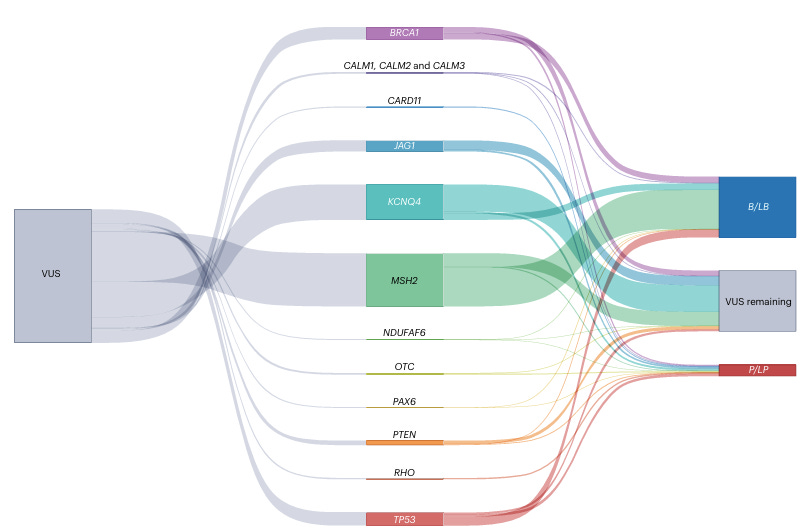 Reclassification of variants of uncertain significance with multiplexed assays of variant effect data. This Sankey diagram depicts the previously published reclassification of variants of uncertain significance (VUS) into more definitive categories with the addition of multiplexed assays of variant effect data. A total of 1,711 VUS across 12 genes were reclassified in 12 published studies29,66,73,80,98,100,102,103,105,213–215. The data and R code used to make the Sankey diagram can be found within the Supplementary information and at https:// github.com/FowlerLab/NRG_MAVEs_in_clinic.