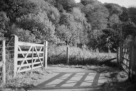 Three black and white images incoporating nature (trees and plants) and human constructions (gates in the first, a fence in the second and a series of benches in the third). The images show the contrasts of light and dark using shadows, and the links between past, present and future with the use of leading lines.