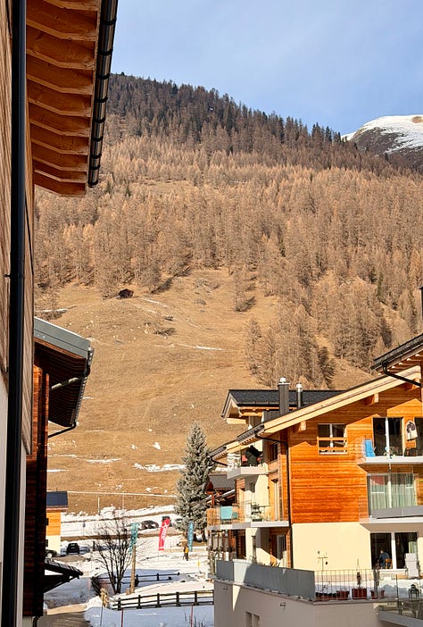 Left image, a south-facing, forested alpine slope as viewed from a village. It's winter, and the sunlit larch forest has shed all needles, the trees winter brown. Snow lies between the chalet-style apartment buildings in the foreground. The sky is blue.; middle image; an elderly couple smile for a selfie in an alpine larch forest. It's winter, the trees are bare and their fallen needs cover the ground. The couple's faces are half in shadows, half sun-lit.; right image, a track climbing through an aline, larch forest. The trees have shed their needles, which cover the track. A single hiker makes his way up the track in sunshine and shadows cast by the trees. The sky is a clear blue.