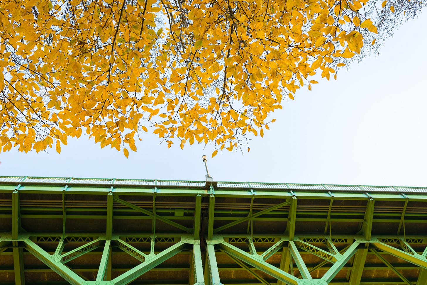 A green bridge with yellow leaves.