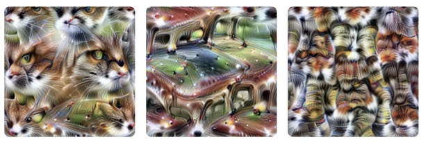 The three images that most strongly activate neuron 4e:55 Bizarre pictures resembling psychedelic cat faces, car fronts, and cat legs.