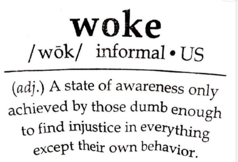 May be an image of text that says 'woke /wok/ informal US (adj.) A state of awareness only achieved by those dumb enough to find injustice in everyt everything except their own behavior.'