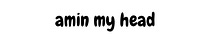 Amin My Head