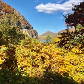 Fall 2024 weather: all-star or flop?