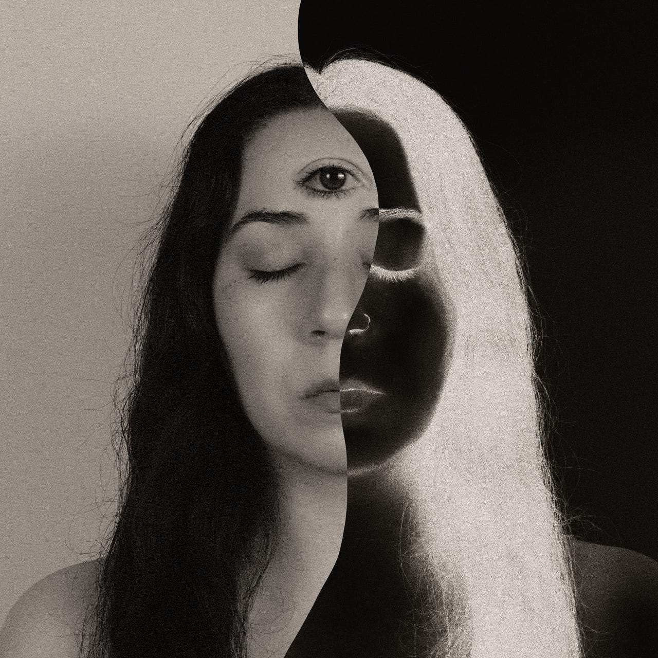 Through the Curator's Eye