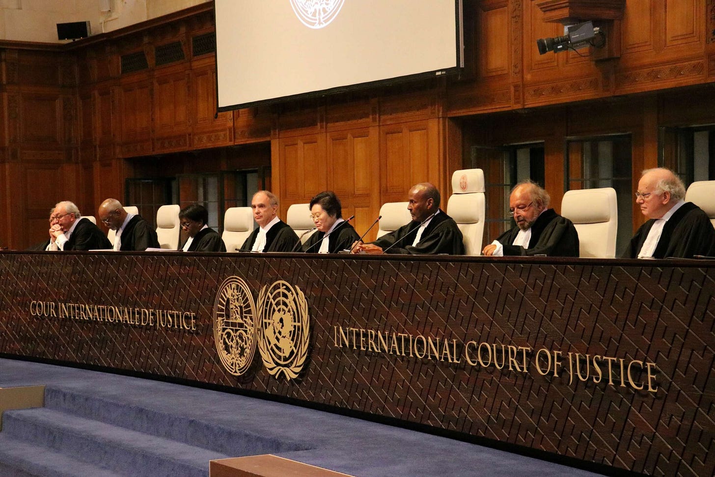 Israel Is Terrified the World Court Will Decide It's Committing Genocide |  Truthout