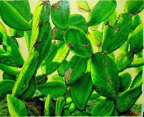 Linda Najera Artist