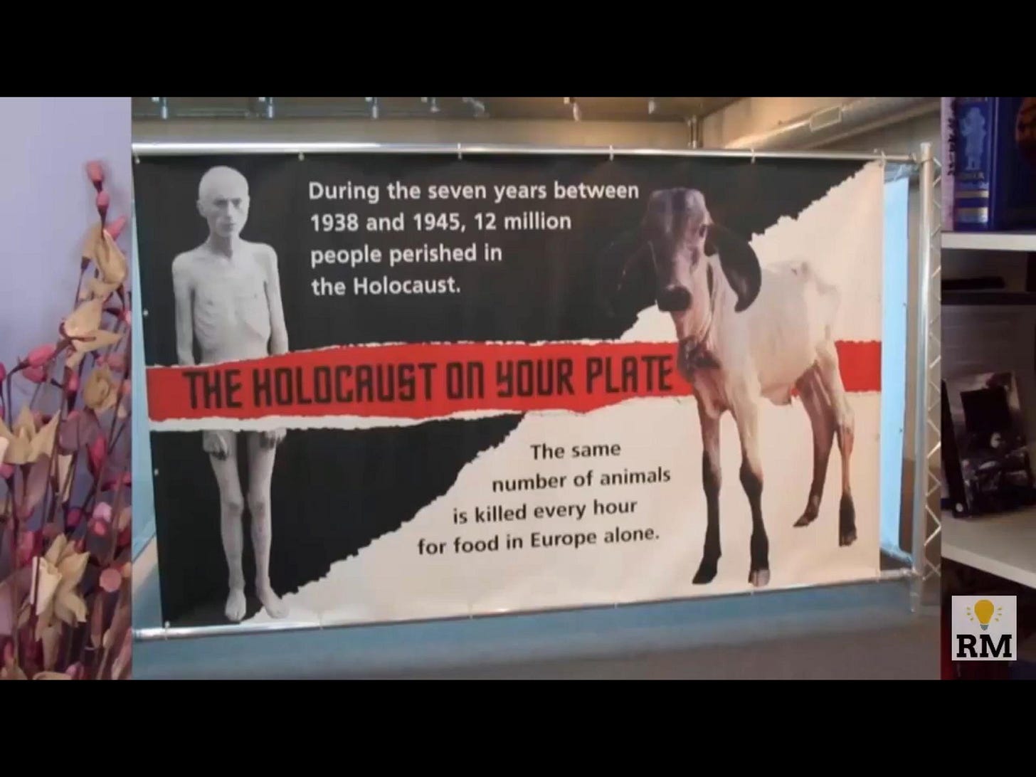 Shit... I wish I had turned vegan earlier : r/vegan