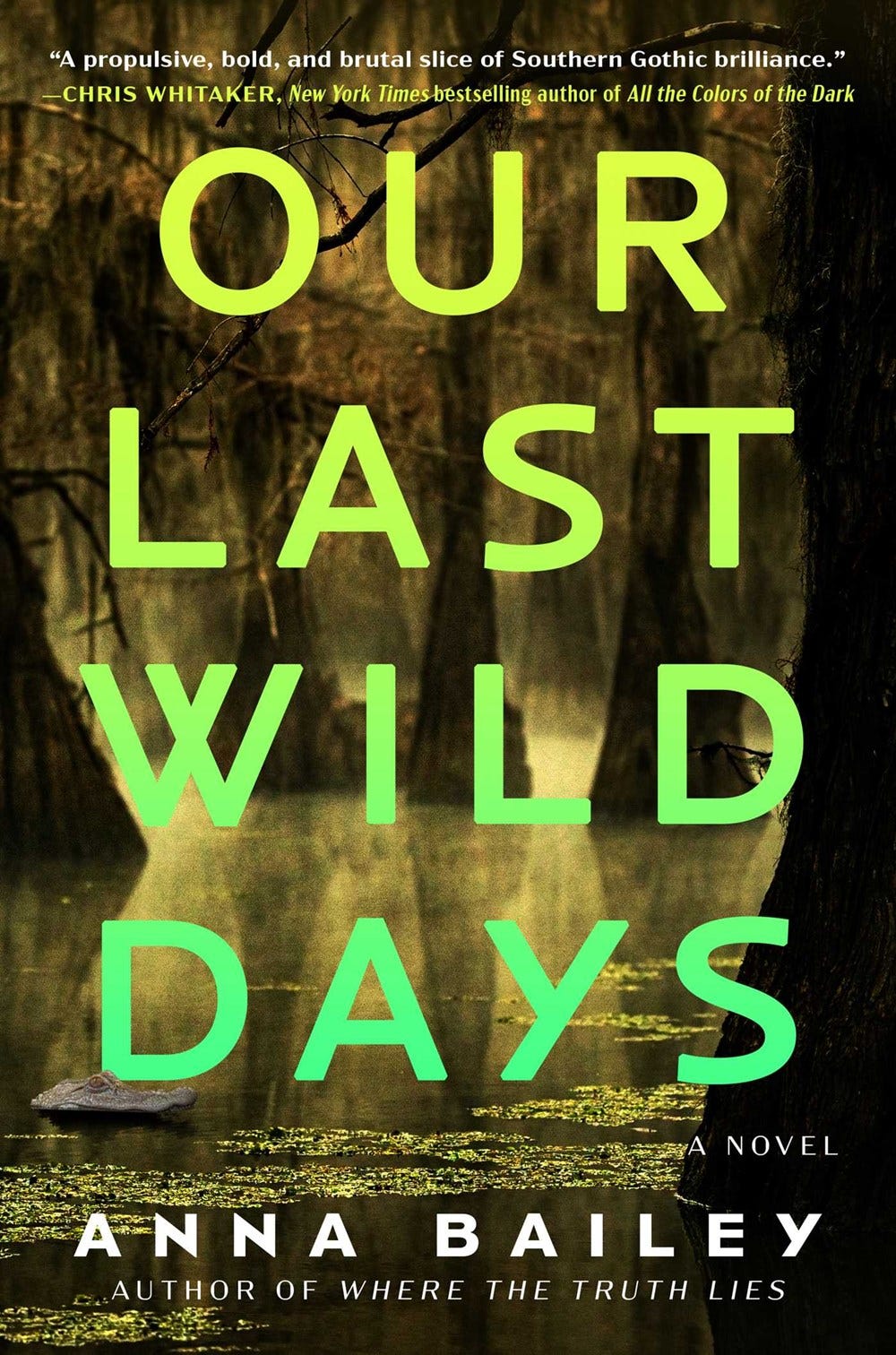 cover of the book Our Last Wild Days