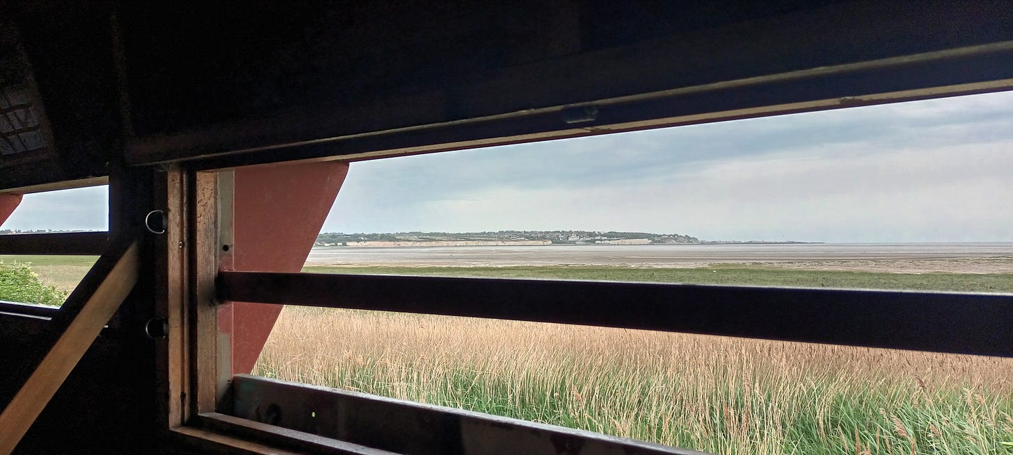 view across the marsh at Pegwell Bay through the bird hide