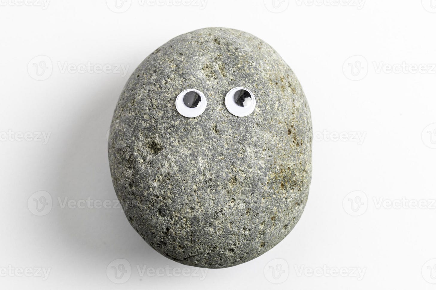 Pet Rock With Googly Eyes 10232404 Stock Photo at Vecteezy