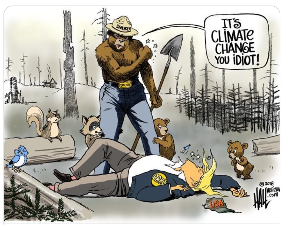 Fires burn more tree cover every year due to climate change - Wildfire Today Fires burn more tree cover every year due to climate change - Wildfire Today