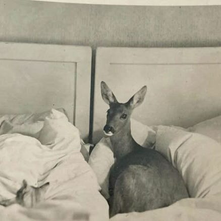 melancholy monologues 