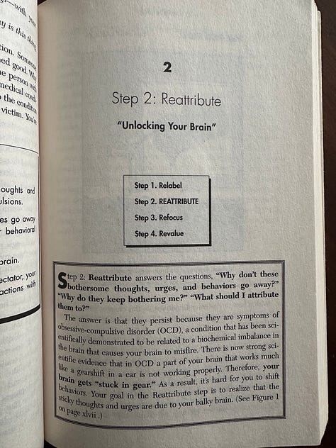 Cover and select pages (dedication and four steps of process) from Brain Lock book