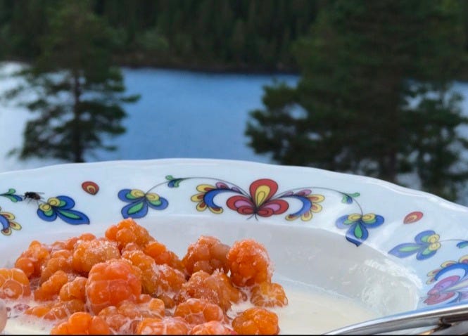 Cloudberries on a plate, with sugar and cream Cloudberries on a plate, with sugar and cream