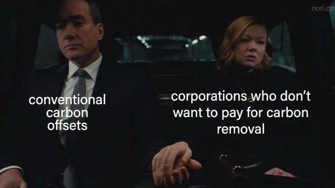 A man and woman holding hands in the back of a car. He is labelled "conventional carbon offsets"; she is labelled "corporations who don't want to pay for carbon removal".