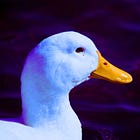 UK Engineers 2 New Bird Flu Viruses With Neurological and Transmission Gains: 'Journal of General Virology'