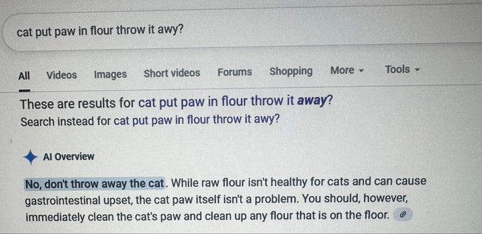 Screenshot of Google search results page for query cat paw in flour throw it away, displaying text snippet stating while raw flour is not healthy for cats and can cause gastrointestinal upset, the cat paw itself is not a problem, and advising to immediately clean the cats paw and clean up any flour that is on the floor.