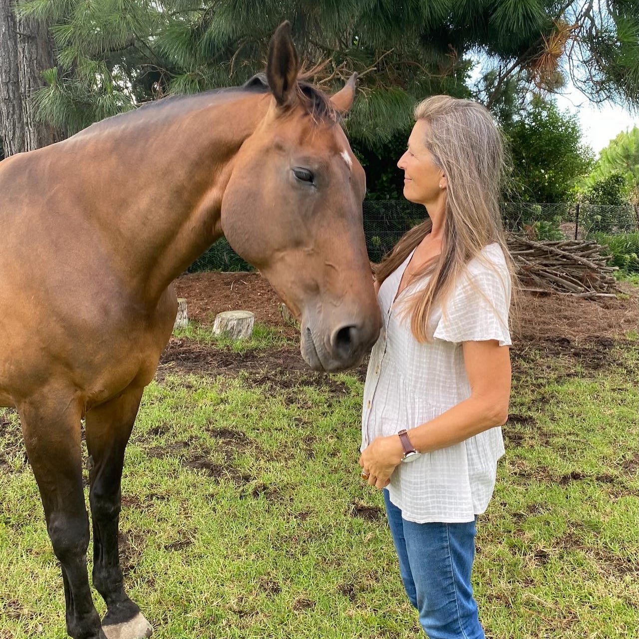 Four Winds Healing Substack