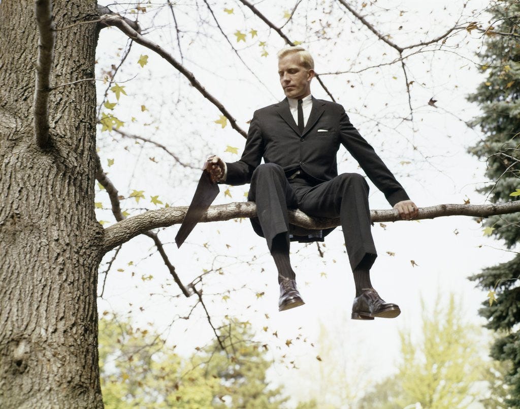 1960s Man In Tree Sawing Off The Branch He Is Sitting On posters ...