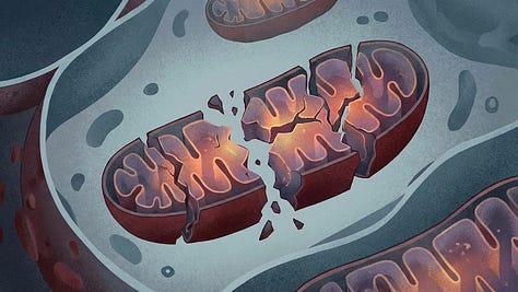 COVID, COVID Shots/”Vaccines”, & SARS-CoV-2 Spike Protein — What Can We Do About Their Effects on Us?