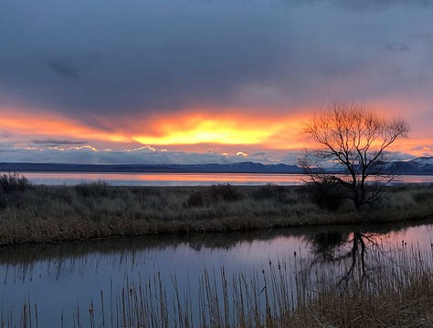 Orange sunrise, cow bone in field, robins in snowy tree