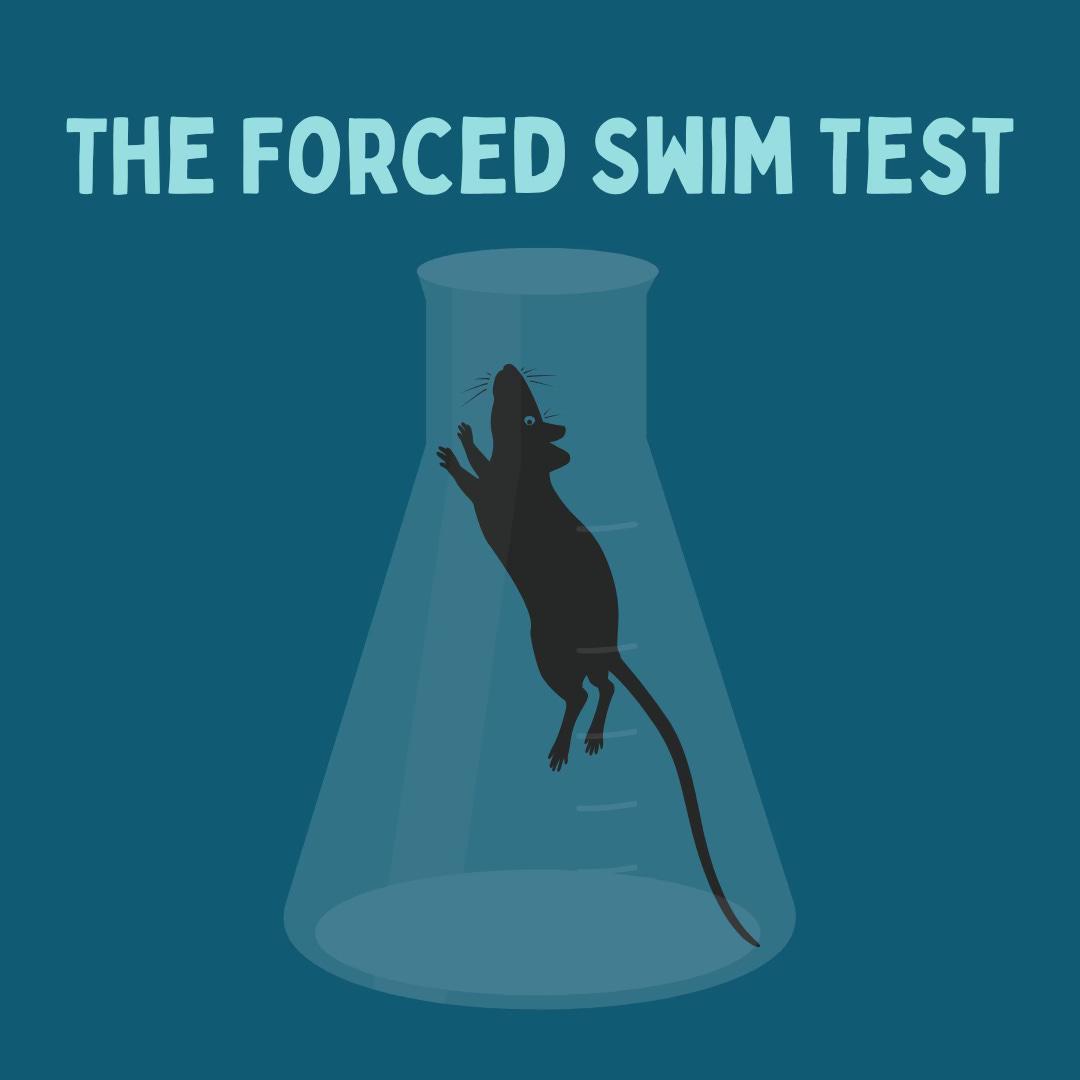 Forced Swim Test