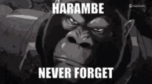 Dicks Out For Harambe Never Forget GIF - Dicks Out For Harambe Never Forget Gorilla GIFs Dicks Out For Harambe Never Forget GIF - Dicks Out For Harambe Never Forget Gorilla GIFs