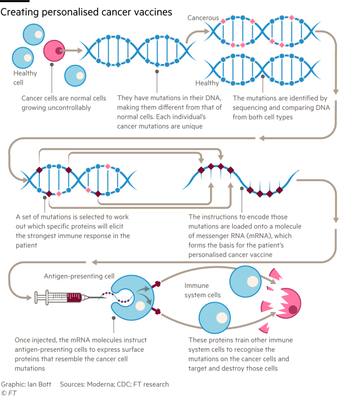 Diagram showing how cancer vaccines can be engineered to treat individual patients Diagram showing how cancer vaccines can be engineered to treat individual patients