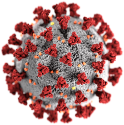250px-sars-cov-2_without_background 250px-sars-cov-2_without_background