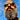 Jay Vidyarthi's avatar
