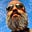 Jay Vidyarthi's avatar