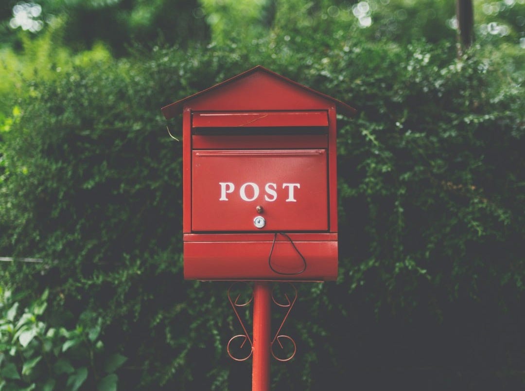 red wooden mailbox near green leaf plant